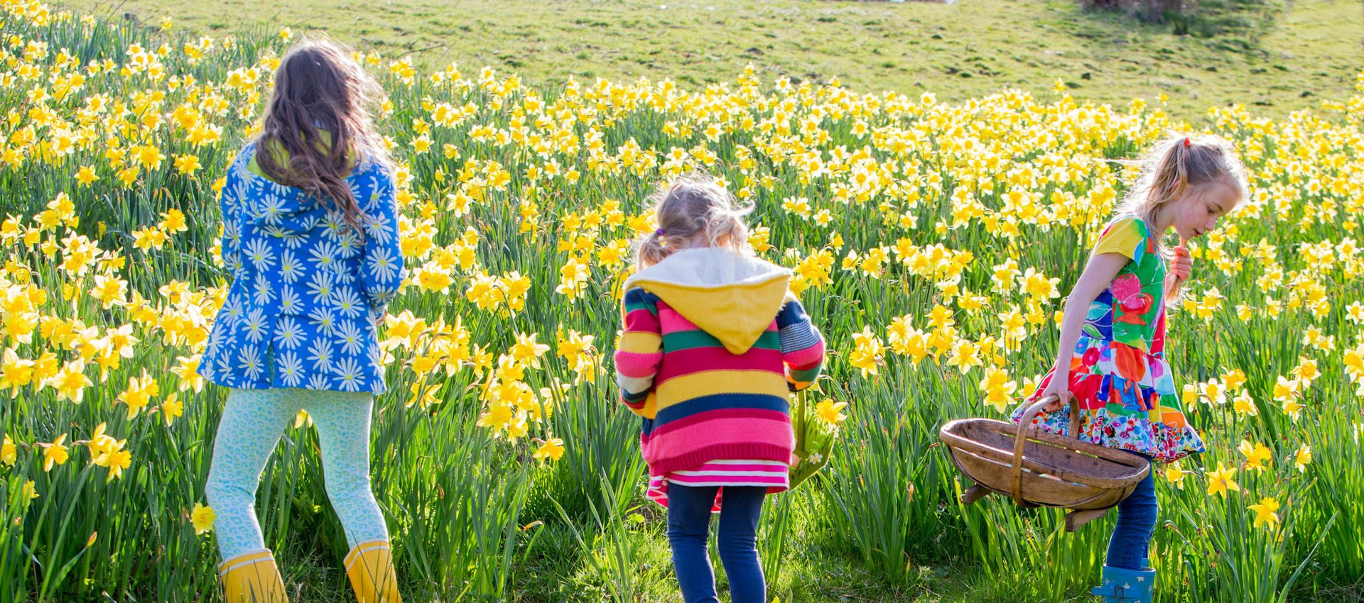 Home - Pavillon Du Zoute
