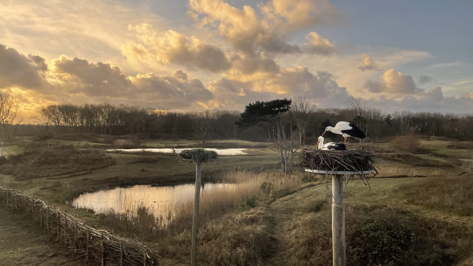 Cycling - Pavillon Du Zoute