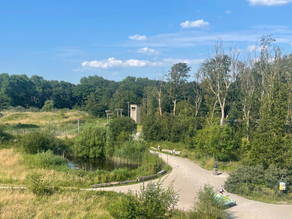 Geführter Spaziergang im Naturpark Zwin