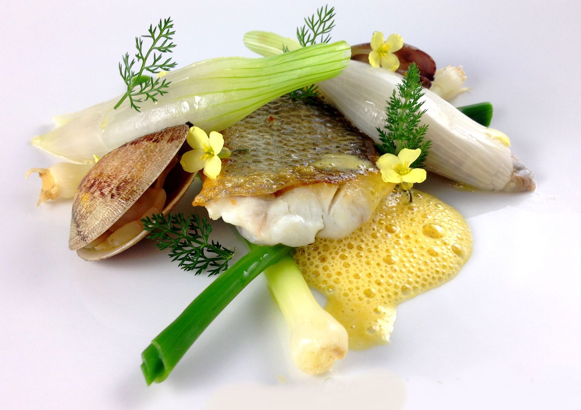 Restaurant Pavillon Terre-Mer - Pavillon Du Zoute